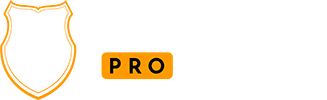 Predecessor.pro logo